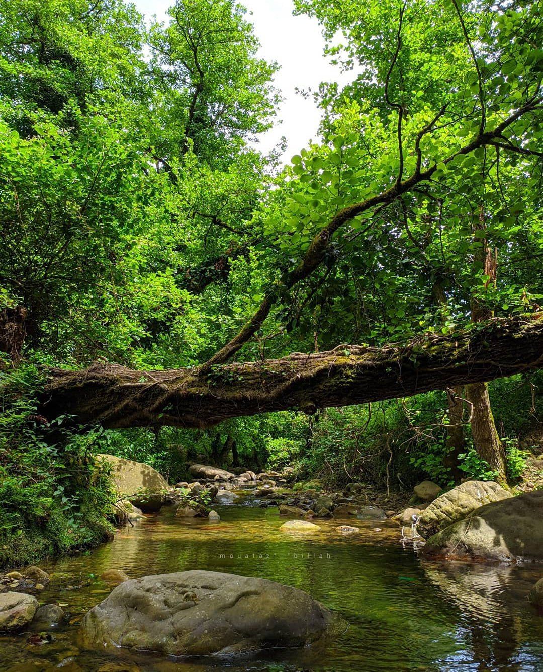 Parc National de Taza, Jijel !