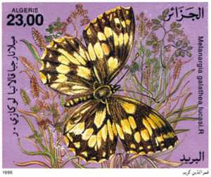 Papillons (Timbre poste Algérie)