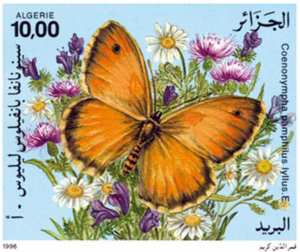 Papillons (Timbre poste Algérie)