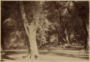 Blida. Le Bois-sacré (marabout de Sidi Yacoub) (Image de propagande coloniale)