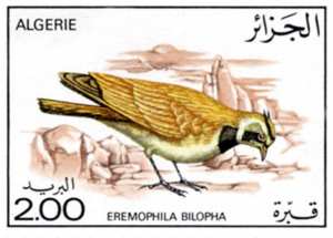 طيور طابع بريدي الجزائر
