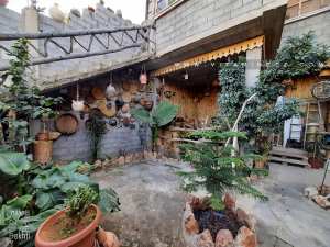 Petite cafétéria sur la route d'El Ourit