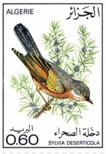 Les oiseaux (Timbre poste Algérie)