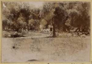 Les bois de Souma (4-13 juin 1895) (Image de propagande coloniale)