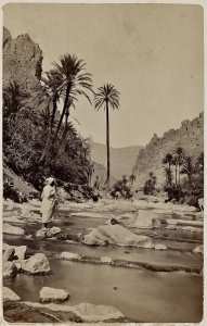 Intérieur de la gorge d'El Kantara (Image de propagande coloniale)