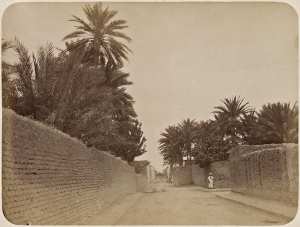 Biskra. Une rue (Image de propagande coloniale)