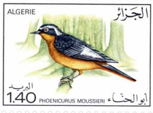 طيور طابع بريدي الجزائر