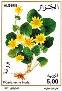 Fleurs (Timbre poste Algérie)