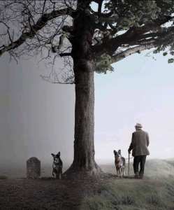 LA FIDELITE ET LES SOUVENIRS