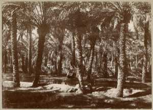 Dans l'oasis d'In Salah (Image de propagande coloniale)