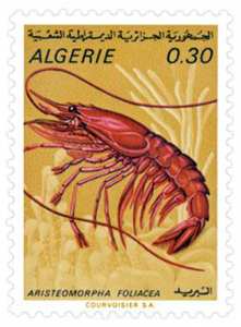 Animaux marins (Timbre poste Algérie)