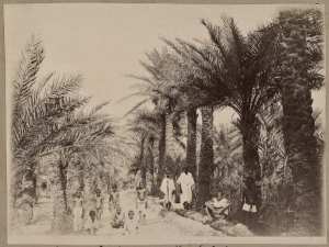 Dans l'oasis d'In Salah (Image de propagande coloniale)