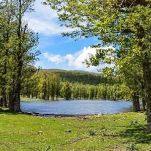 Lac Dhaya, Tamesguida/Médéa… !