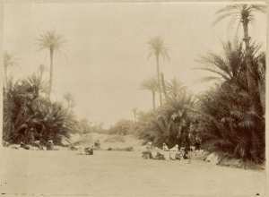 Palmiers. Bour de Sidi Yousef (Image de propagande coloniale)