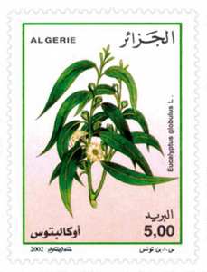نباتات طبية طابع بريدي الجزائر