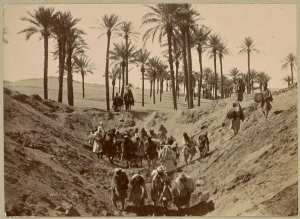 Travailleurs dégageant une foggara éboulée (Image de propagande coloniale)