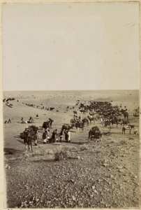 [Colonne du capitaine Pujat chargé de la construction du Fort Lallemand : halte de la colonne entre Hassi-Bou-Larrouah et Hassi-baoud-ech-Cheikh] (Image de propagande coloniale)