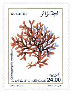 الطحالب البحرية طابع بريدي الجزائر