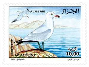 Oiseaux marins (Timbre poste Algérie)