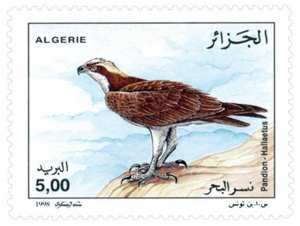 Oiseaux marins (Timbre poste Algérie)