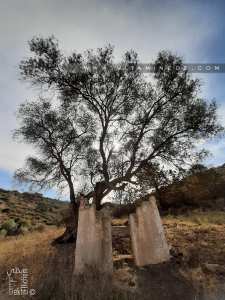 Hawita de Sidi Brahim à Ain Kolla