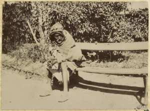 [Vieil homme dans un jardin à Bône '] (Image de propagande coloniale)