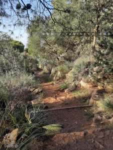 Sentiers de randonneurs à la forêt du petit perdreau Tlemcen