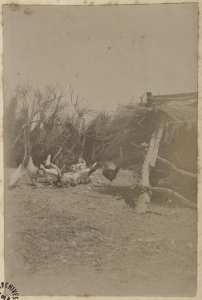 Colonne du capitaine Pujat chargé de la construction du Fort Lallemand : ravitaillement pour la colonne'] (Image de propagande coloniale)