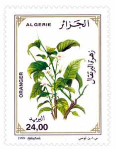 Fleurs d’arbres fruitiers (Timbre poste Algérie)