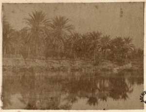 [Oasis] (Image de propagande coloniale)