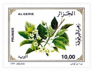 Fleurs d’arbres fruitiers (Timbre poste Algérie)