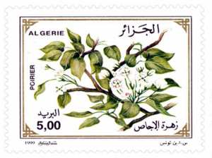 Fleurs d’arbres fruitiers (Timbre poste Algérie)