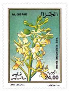 Orchidées (Timbre poste Algérie)