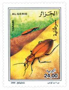 Insectes (Timbre poste Algérie)