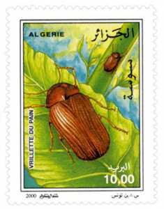 Insectes (Timbre poste Algérie)