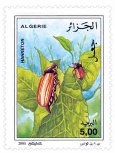 Insectes (Timbre poste Algérie)
