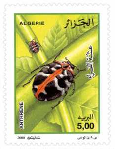 Insectes (Timbre poste Algérie)