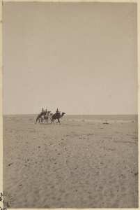 Colonne du capitaine Pujat chargé de la construction du Fort Lallemand : membres de la colonne] (Image de propagande coloniale)