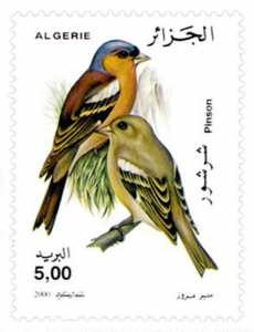 Oiseaux (Timbre poste Algérie)
