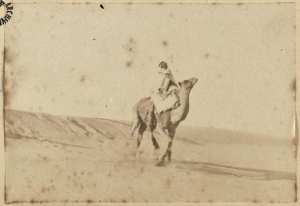 [Un cavalier arabe sur un dromadaire] (Image de propagande coloniale)