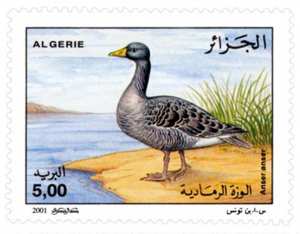 Oiseaux d’eau (Timbre poste Algérie)