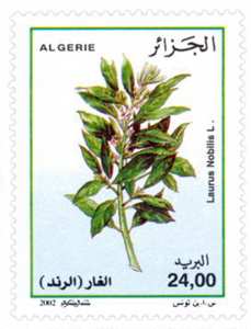 Plantes médicinales (Timbre poste Algérie)
