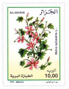 Plantes médicinales (Timbre poste Algérie)