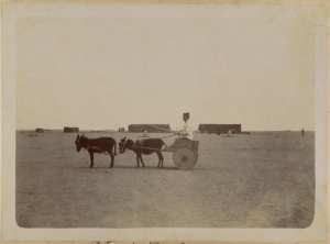 Officier d'administration Génevès et son tandem. Adrar 1902 (Image de propagande coloniale)