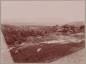 Hammam-Meskoutine. Dépôts calcaires. Vieilles ruines (Image de propagande coloniale)