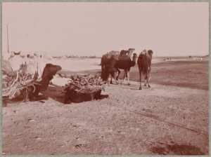 Beni-Ounif de Figuig (Image de propagande coloniale)