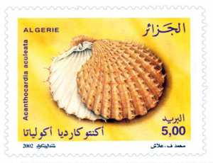 Coquillages (Timbre poste Algérie)