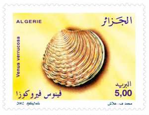 Coquillages (Timbre poste Algérie)