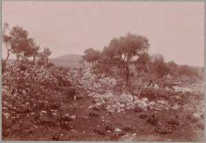 Hammam-Meskoutine. Dépôts calcaires dans toute la région. (Image de propagande coloniale)