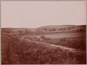 Noisy-les-Bains, juste au millieu, le kiosque de l'établissement. (Image de propagande coloniale)